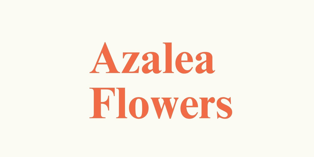 Caring for Your Bouquets, Arrangements & Cut Flowers – Azalea Flowers South Melbourne