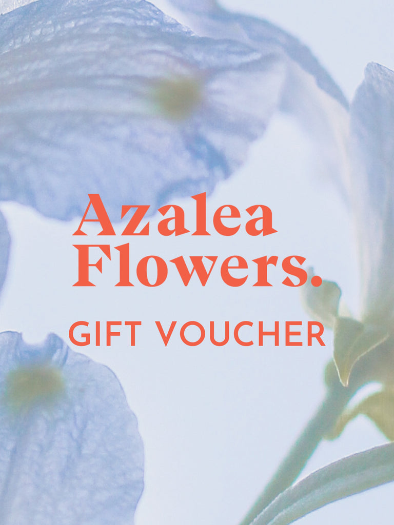 Gift Voucher