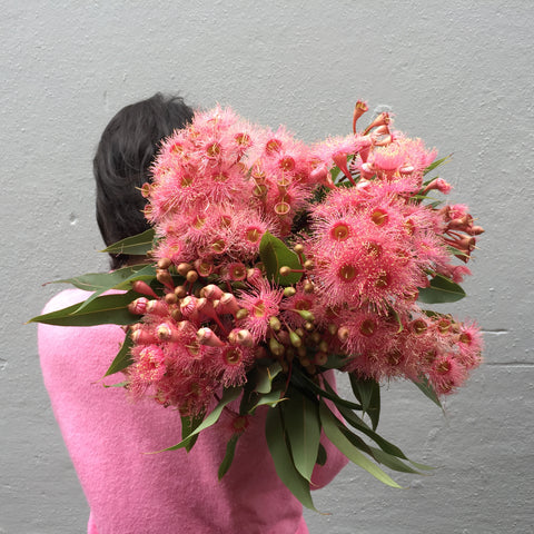 Native Style Flowers