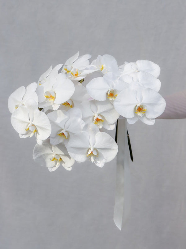 Phalaenopsis Orchids | Wedding Bouquet Package