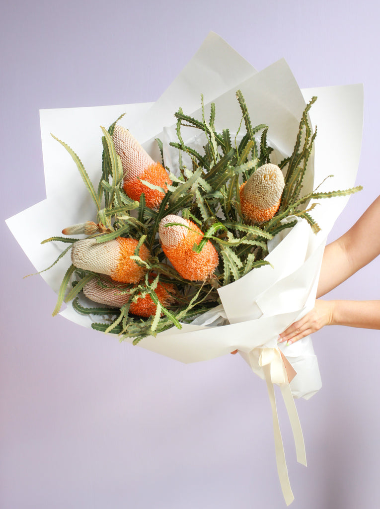 5 Stems of Banksias gift wrapped in white paper for delivery from south melbourne